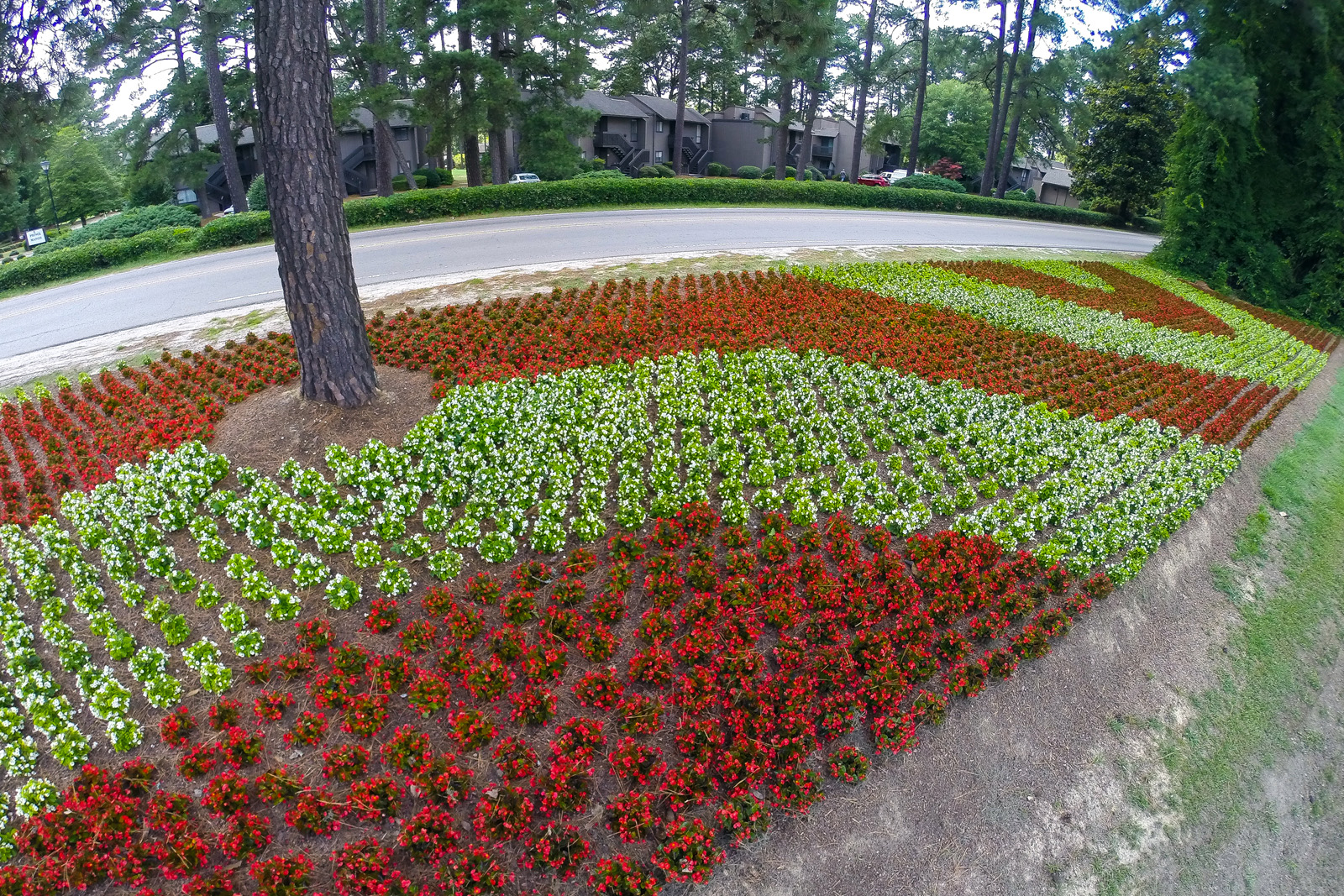 U.S. Open Special Events Plantings